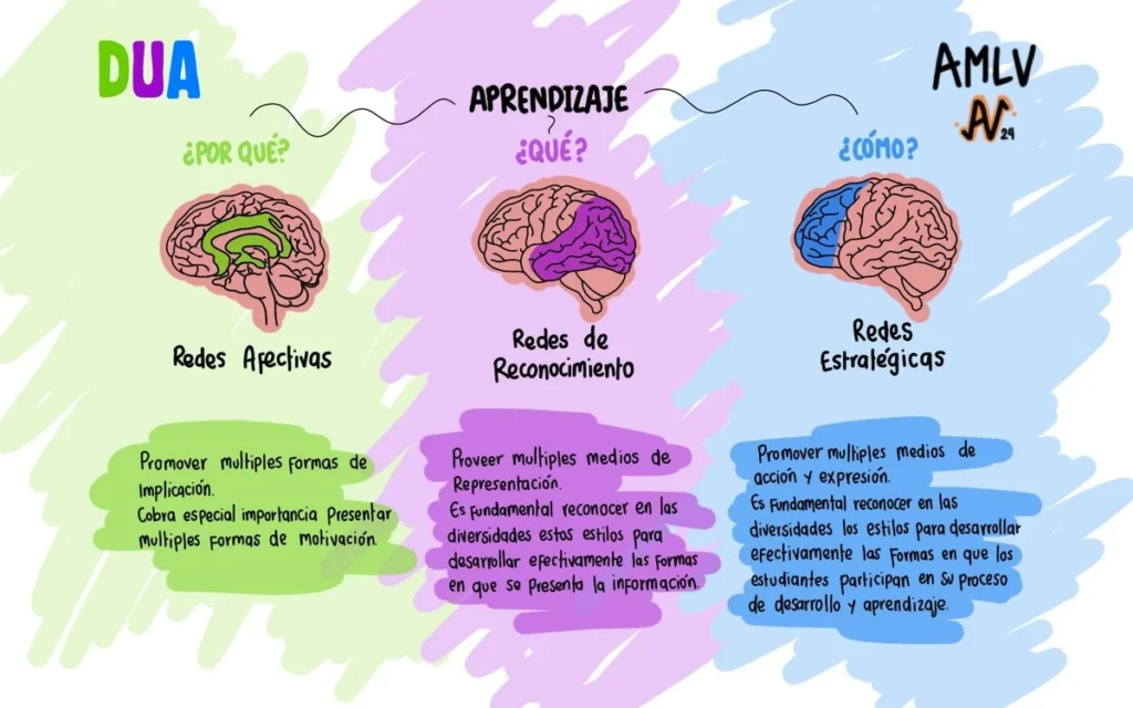 El Diseño Universal de Aprendizaje